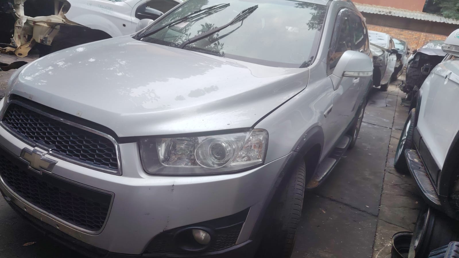 CHEVROLET,CAPTIVA image