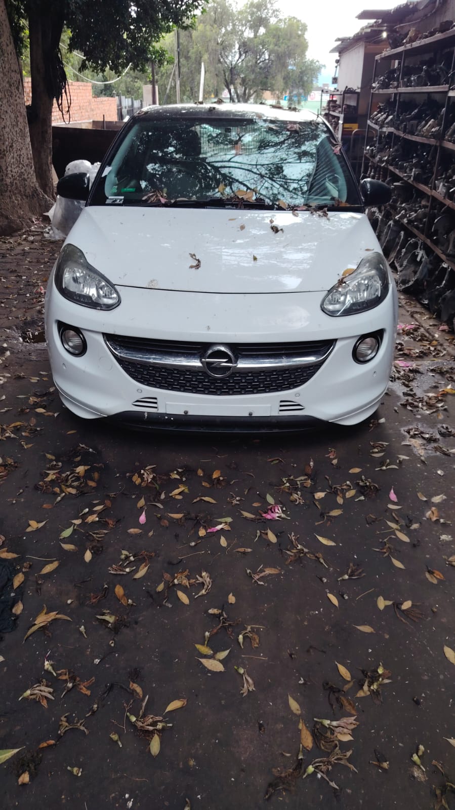 OPEL,ADAM image